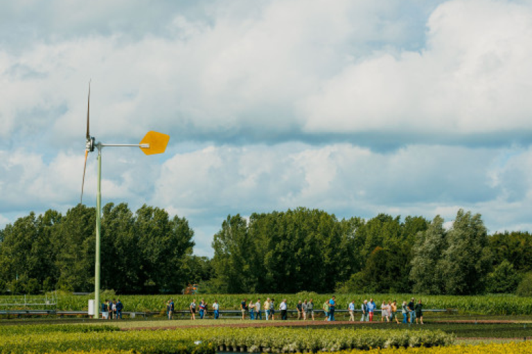 kleine windmolen